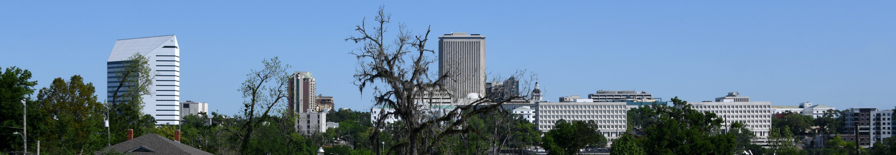 Panorama of Tallahassee