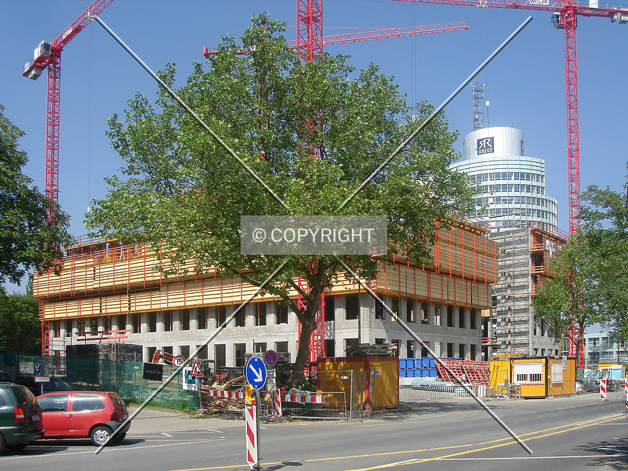 The Cube by Nephilim