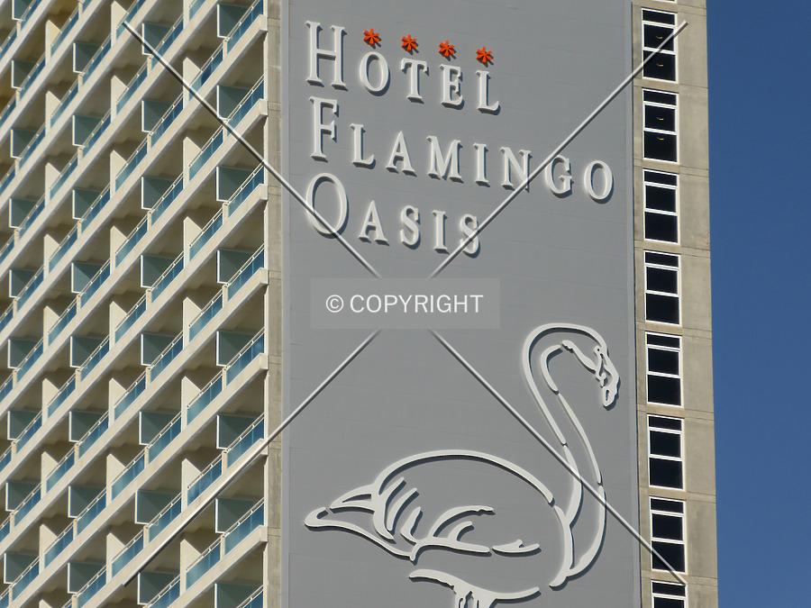 Hotel Flamingo Oasis by Nephilim