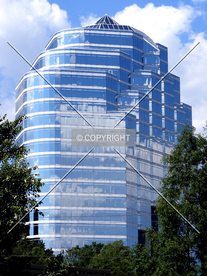 Overlook III by Clayton Odom