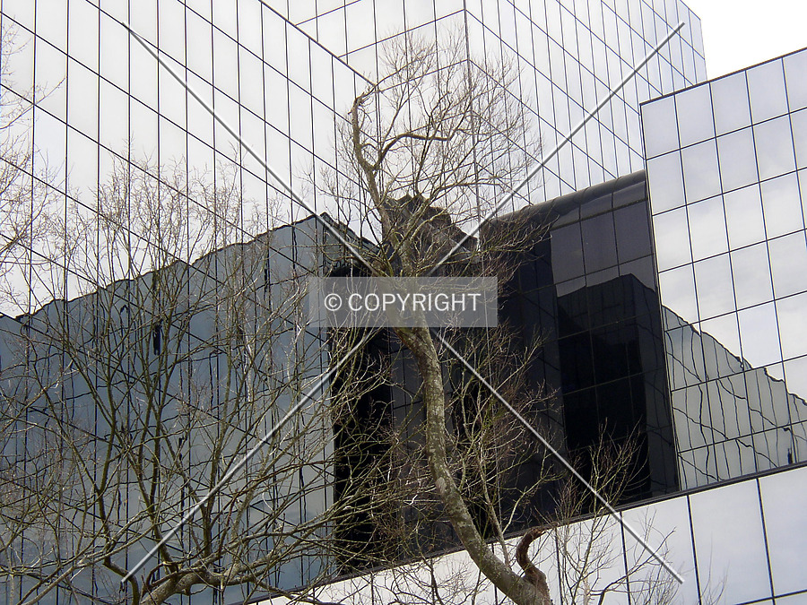 Jacobs Plaza by Chris Patriarca