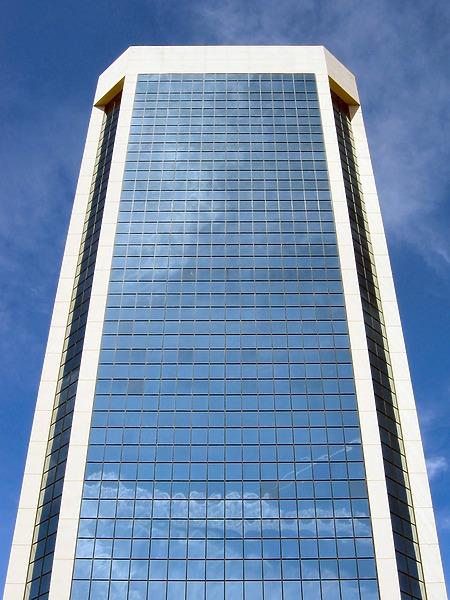 991-338-904