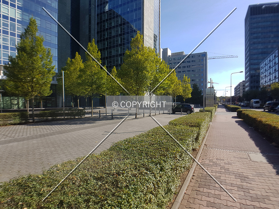 Herriot´s by Nephilim