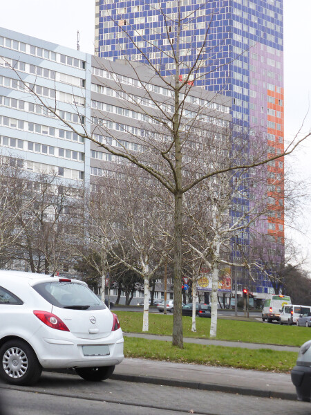 Graeffstraße 3