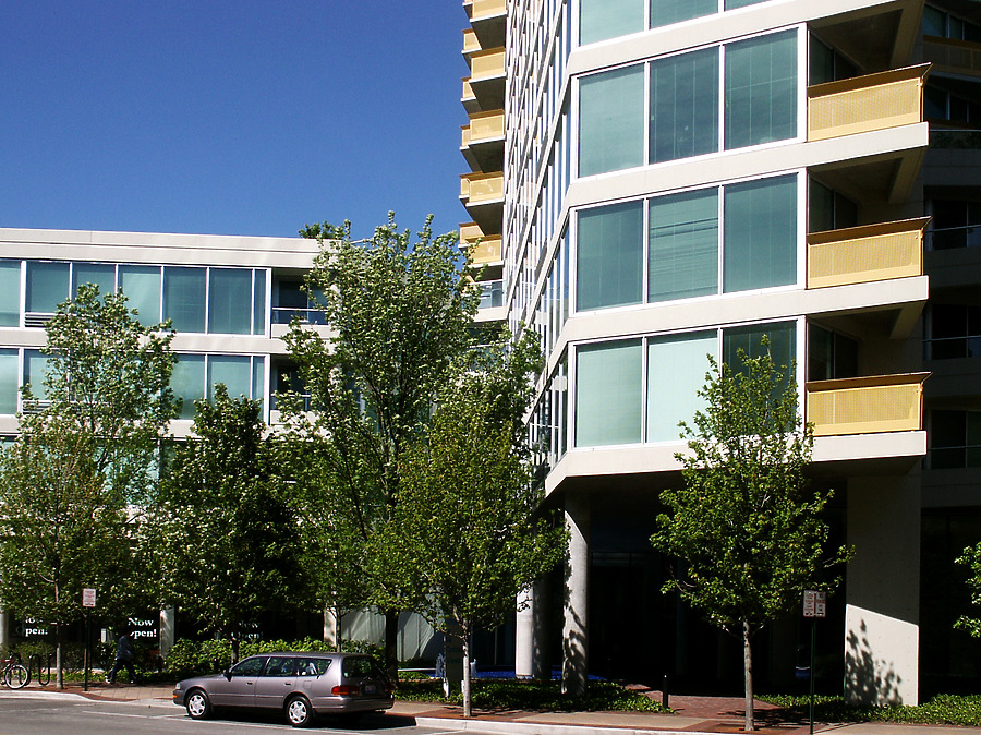 Optima Views by Daniel Kieckhefer