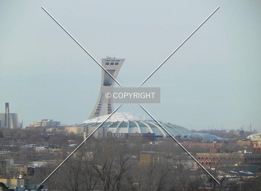 Olympic Stadium by Florian Barbier