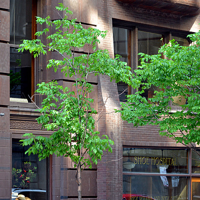 Monadnock Building by John W. Cahill