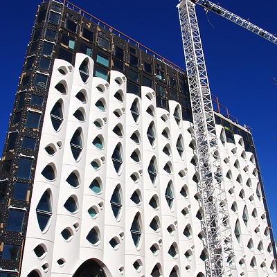 Populus by Brian LoBue