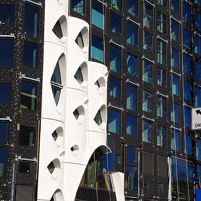 Populus by Brian LoBue