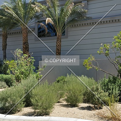 Park MGM by Nephilim