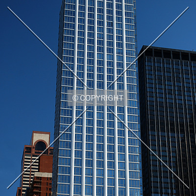 The Link by Royce Douglas