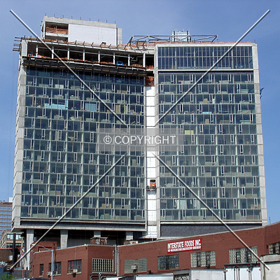 Standard Hotel by Royce Douglas