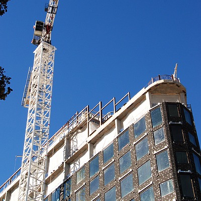 Populus by Brian LoBue