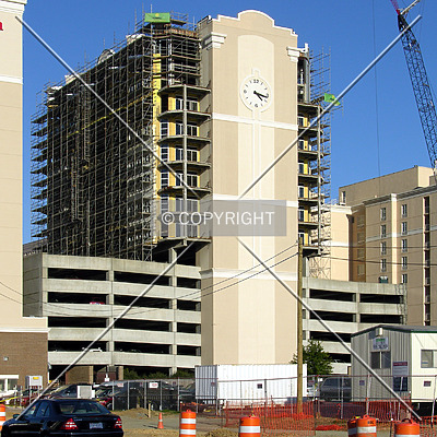 The Madison Charlotte by Chris Patriarca