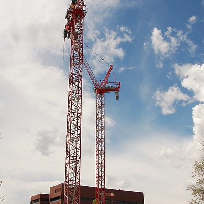 50 Fifty DTC by Brian LoBue