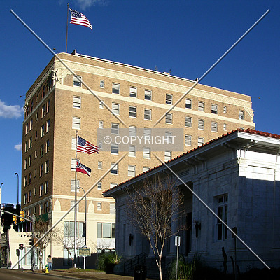 Forrest Hotel by Chris Patriarca