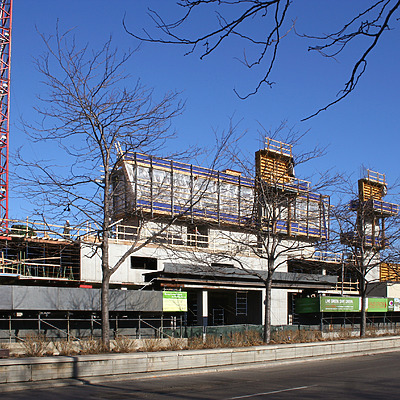 The Lex by Daniel Kieckhefer