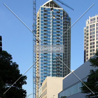 Avenue by Chris Patriarca