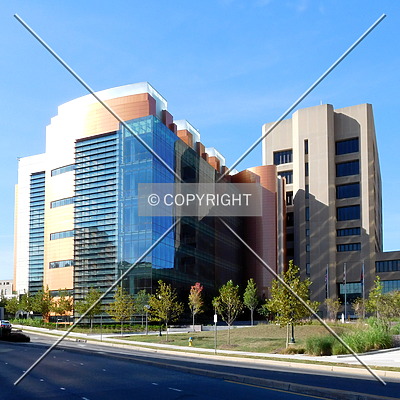 Montgomery County Courthouse by Chris Patriarca