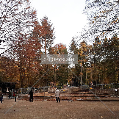 Goetheturm by Nephilim