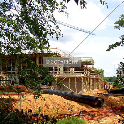 Rosewood Building I by Chris Patriarca