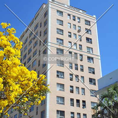 The Blackstone by Jorge Molina