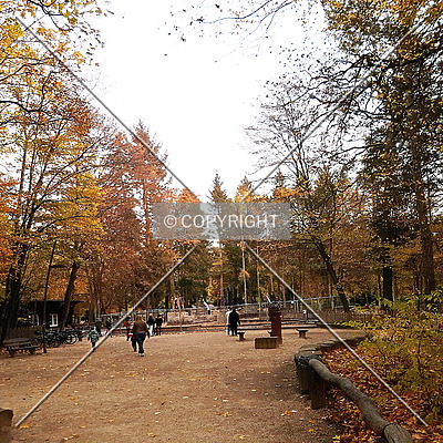 Goetheturm by Nephilim