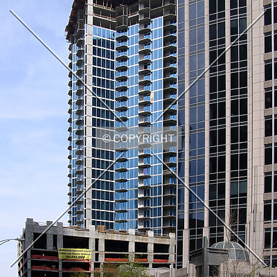 Avenue by Chris Patriarca