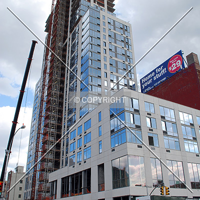 OHM by Royce Douglas