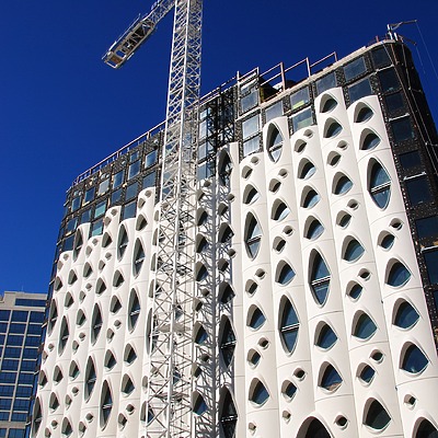 Populus by Brian LoBue