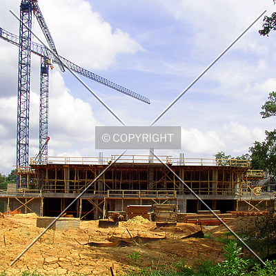 Rosewood Building I by Chris Patriarca