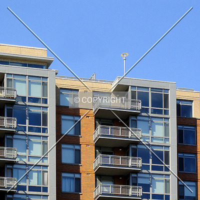 The Cameron by Chris Patriarca