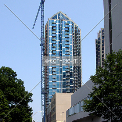 Avenue by Chris Patriarca