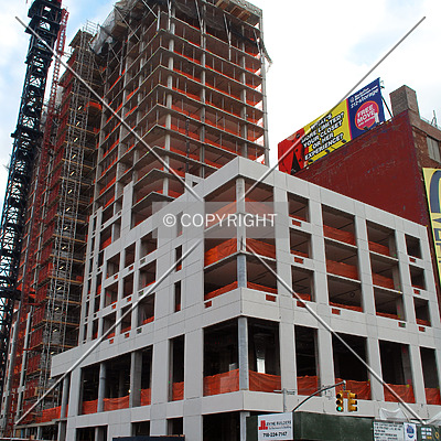 OHM by Royce Douglas