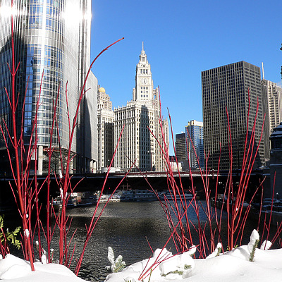 Wrigley Building by B. Victor Adams