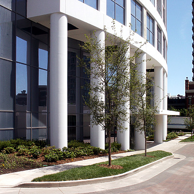 Museum Tower by Daniel Kieckhefer