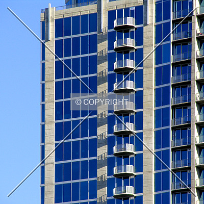 Avenue by Chris Patriarca