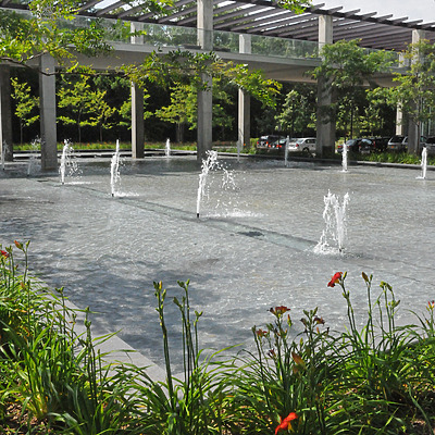 Optima Old Orchard Woods by Shawn Ursini