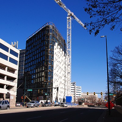 Populus by Brian LoBue