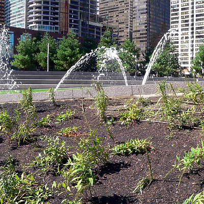 Parkview West by B. Victor Adams