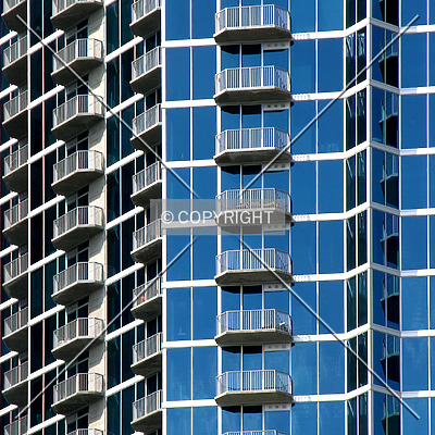 Avenue by Chris Patriarca