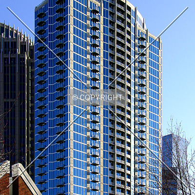 Avenue by Chris Patriarca