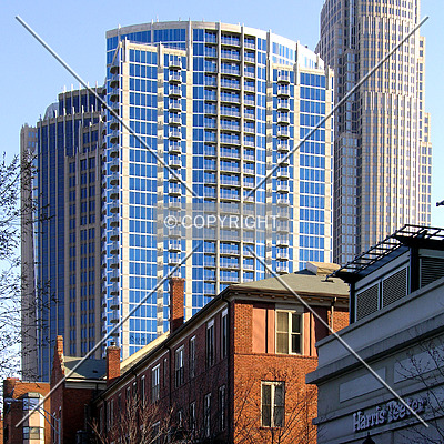 Avenue by Chris Patriarca