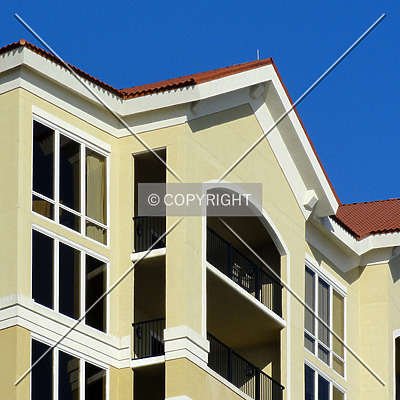 Sienna on the Coast by Chris Patriarca