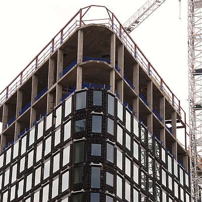 Populus by Brian LoBue