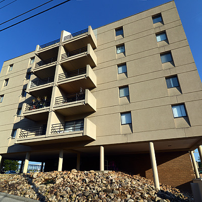 Fort Henry Arms by John W. Cahill