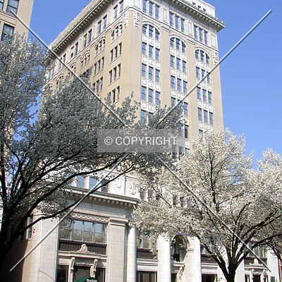 Maclellan Building by Chris Patriarca