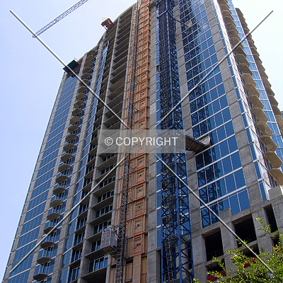 Avenue by Chris Patriarca