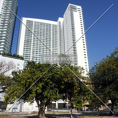 1800 Club by Jorge Molina