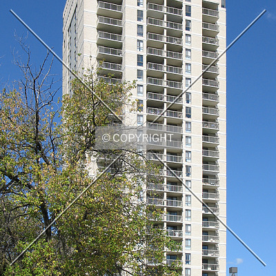 Seven Evergreen by Emmanuel D.